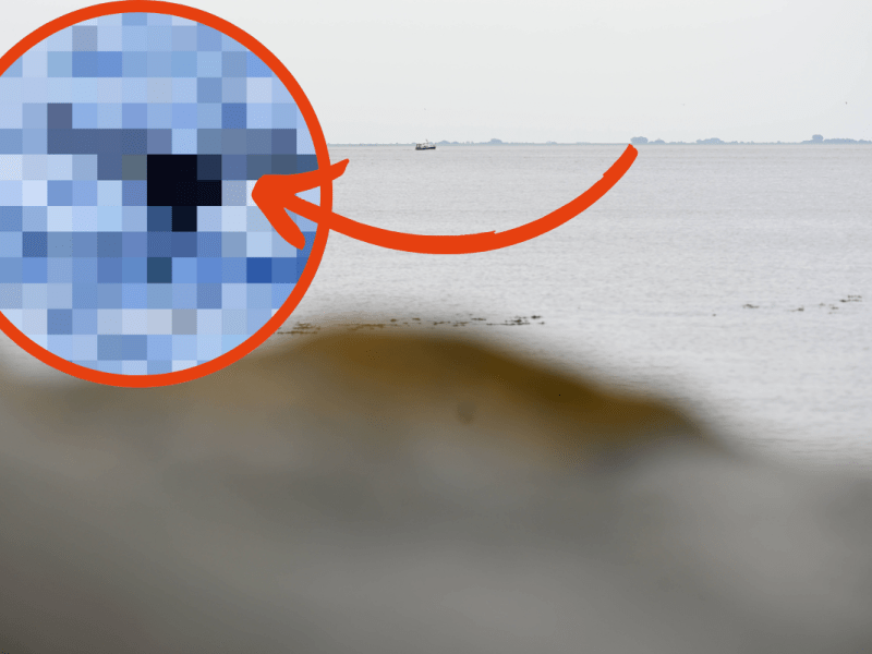 Nordsee