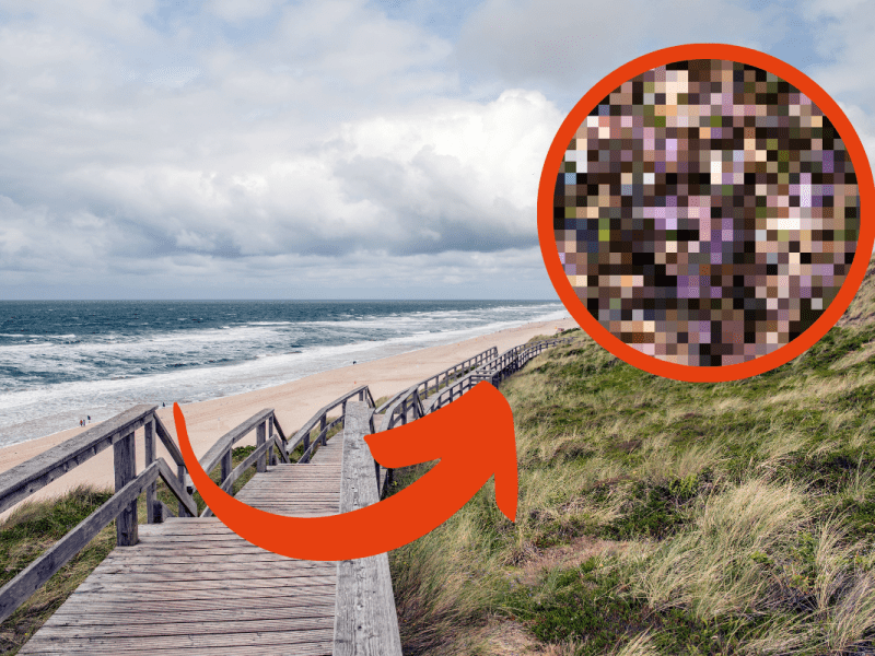 sylt