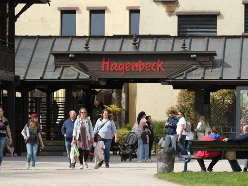Tierpark Hagenbeck: Axel will noch einmal mit seiner Familie in den Zoo – ein allerletztes Mal