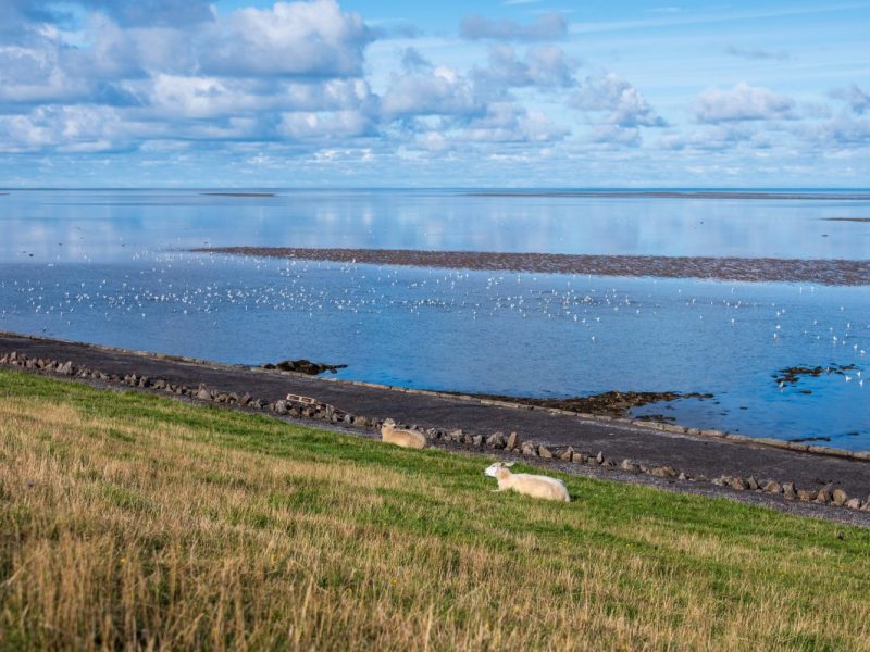 Nordsee