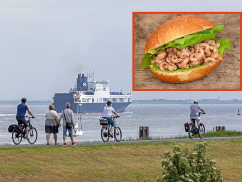 Nordsee: Frau teilt Foto von Krabbenbrötchen – Urlauber fallen fast vom Glauben ab