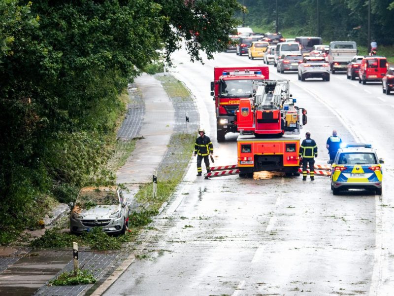 Hamburg: Komplettes Unwetter-Chaos in der Stadt – vier Menschen haben Schreck ihres Lebens