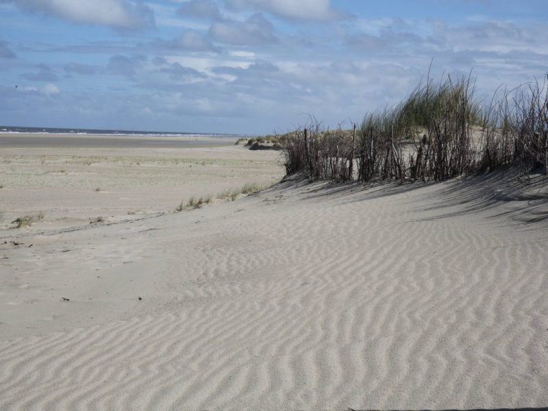 Norderney