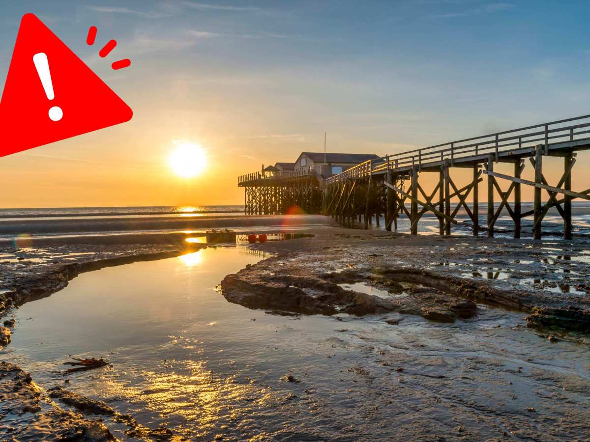 Nordsee: Gefährliche Sichtung am Strand! Urlauber sollten es auf keinen Fall anfassen