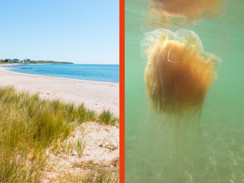 Ostsee