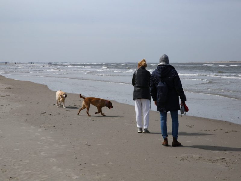 Nordsee