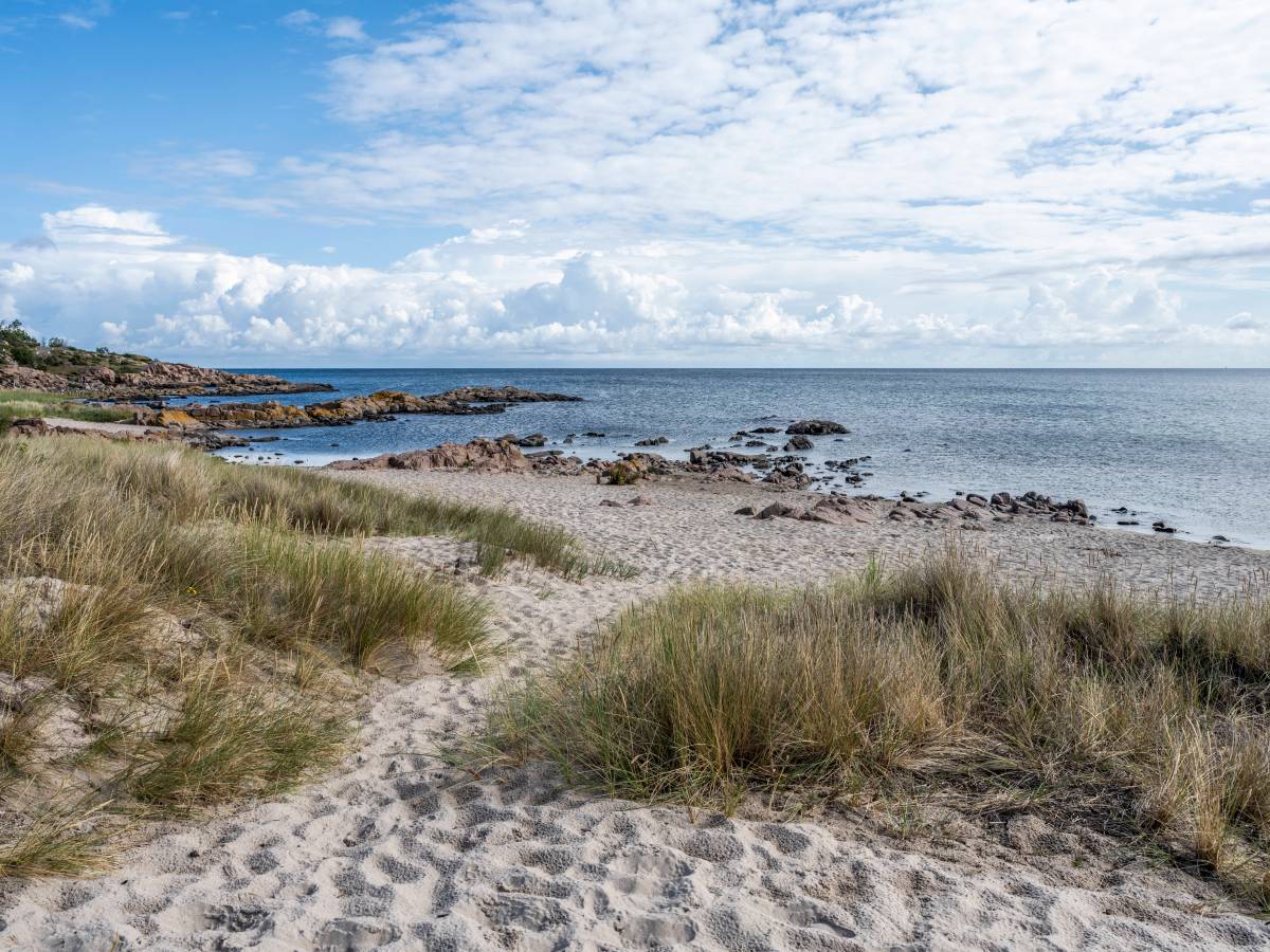 Der Strand von der dänischen Insel Bornholm.