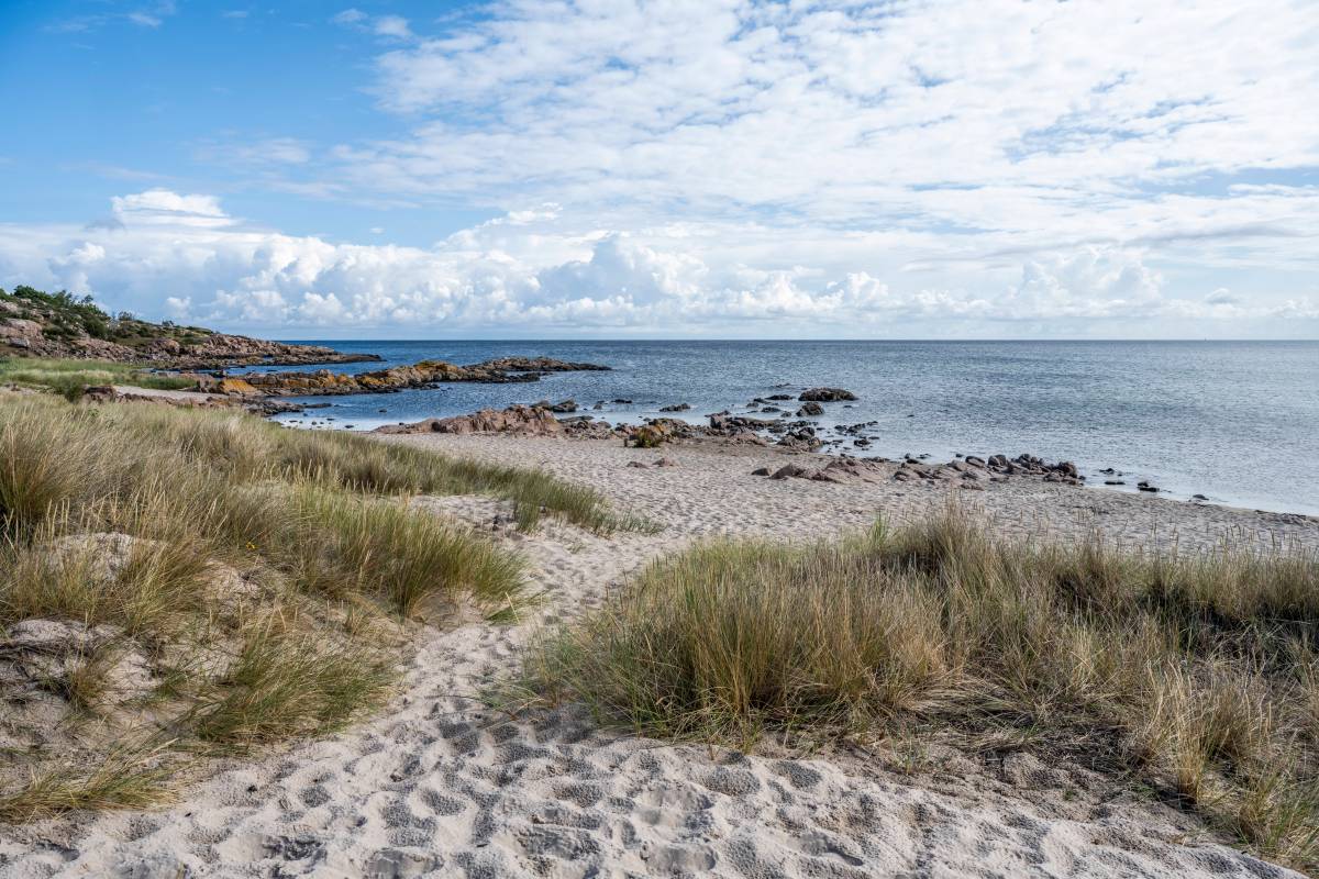 Der Strand von der dänischen Insel Bornholm.