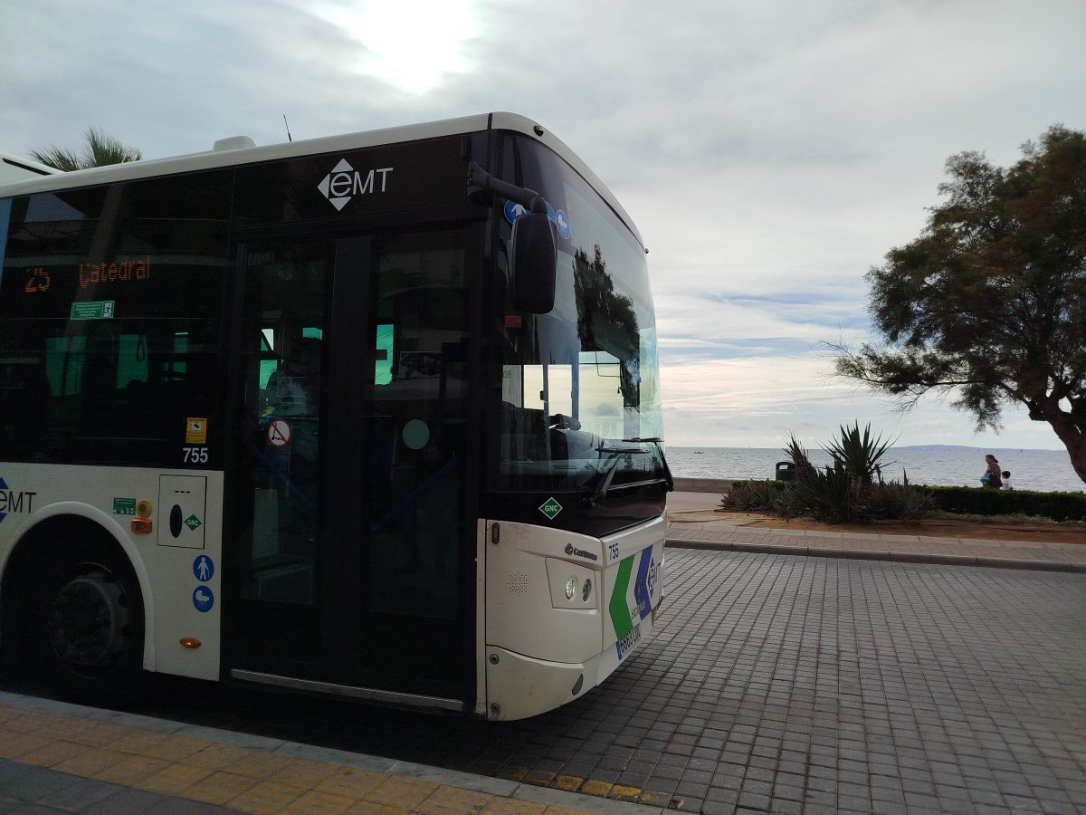 Bus Mallorca