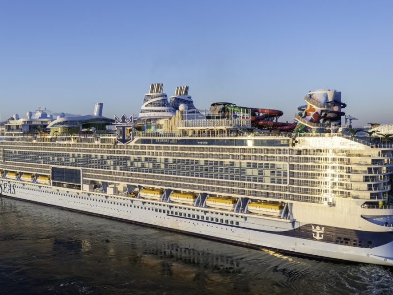 Das Kreuzfahrtschiff 