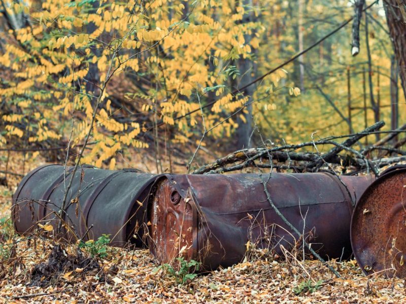 Fässer im Wald, Symbolbild