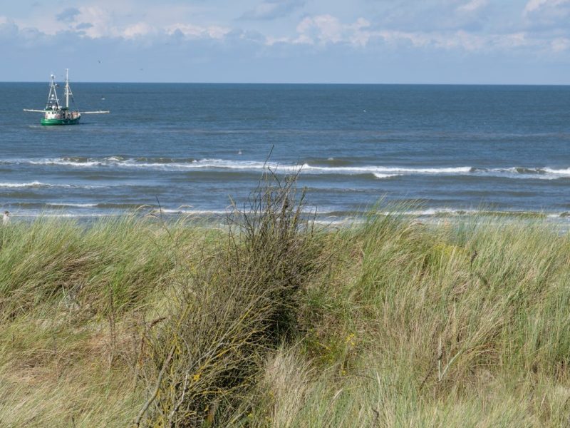 Die Nordsee-Insel Spiekeroog