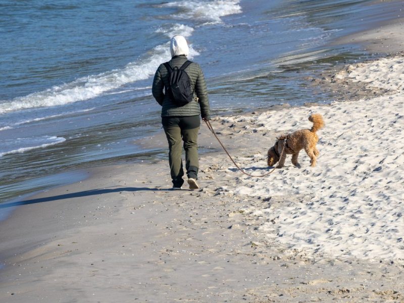 Hundeverbot an Ostsee-Stränden