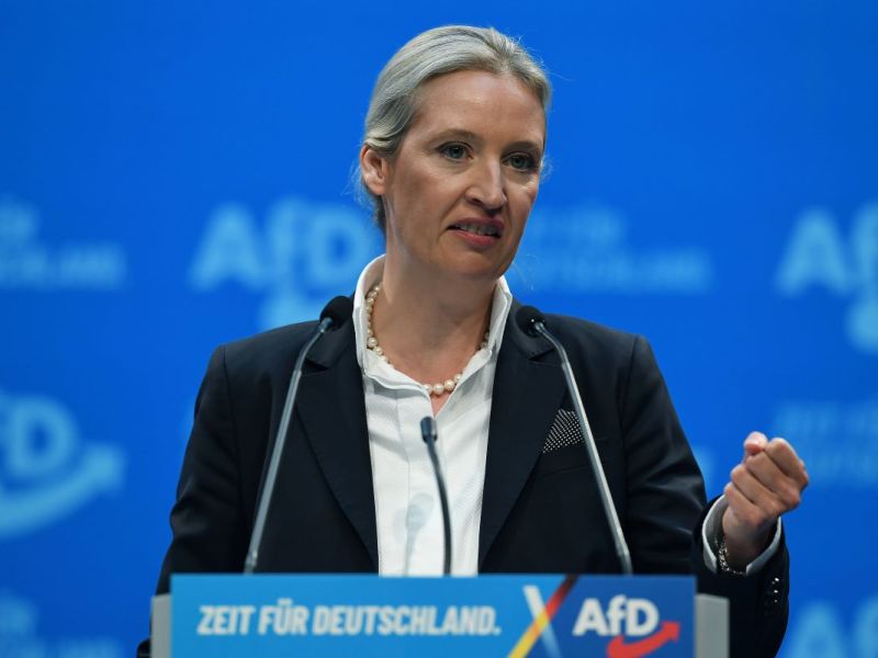 Alice Weidel hält eine Rede in Hamburg, die wird von massiven Protesten begleitet.