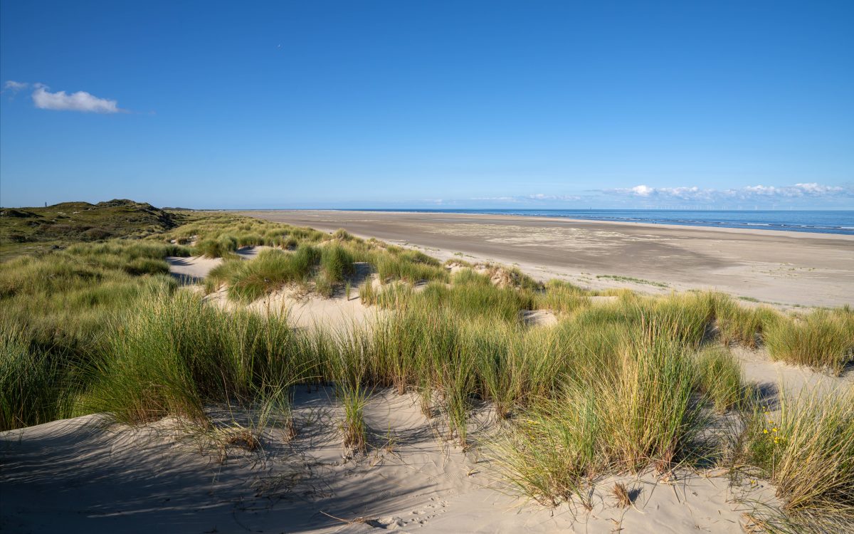 Der Strand von Borkum.