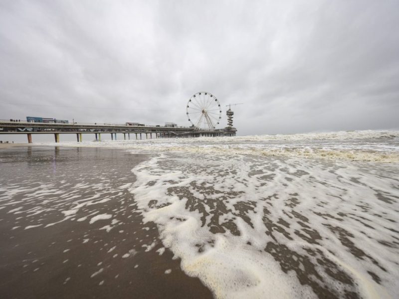 Die Nordsee.