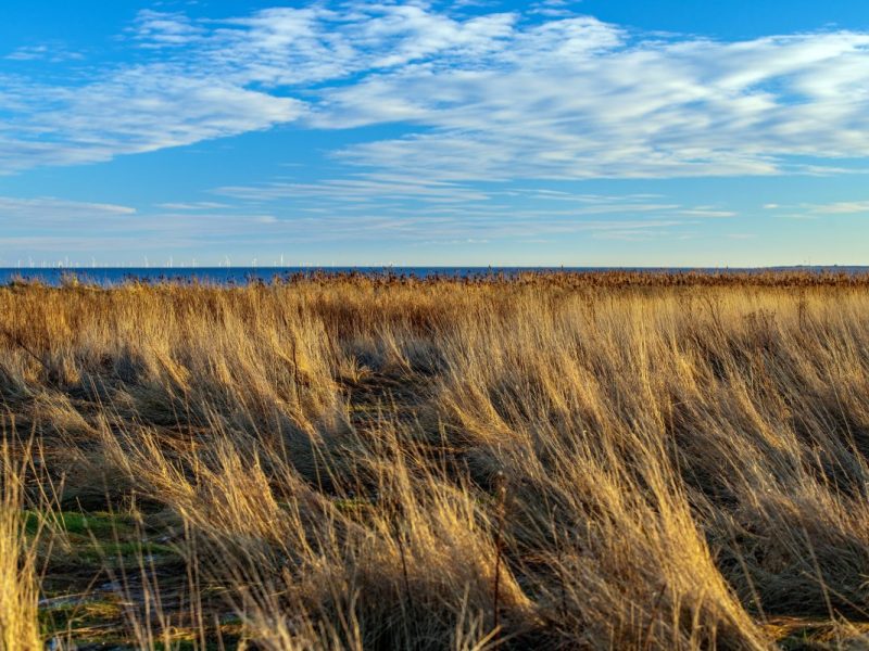 Eine Landschaft an der Nordsee, Symbolbild