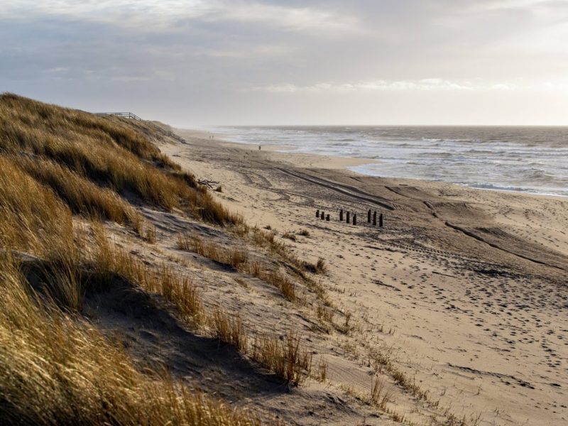 Sylt