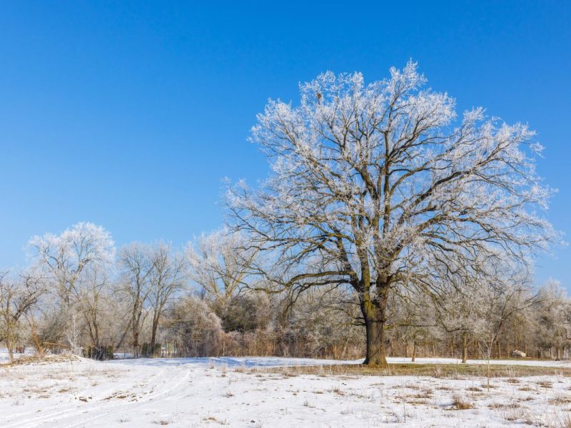 Wetter im Norden