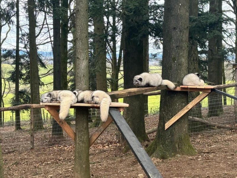 Zoo im Norden