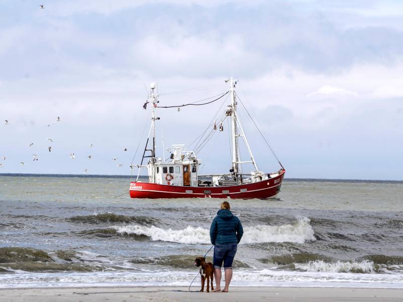 Frau mit Hund am Strand