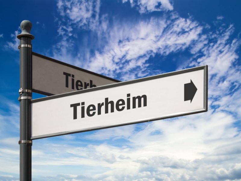 Tierheim im Norden, Symbolbild