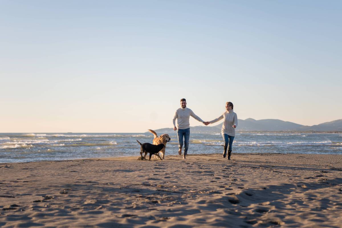 Pärchen am Strand mit Hunden