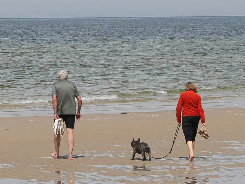 Gibt es bald eine Hunde-Kurtaxe auf Sylt?