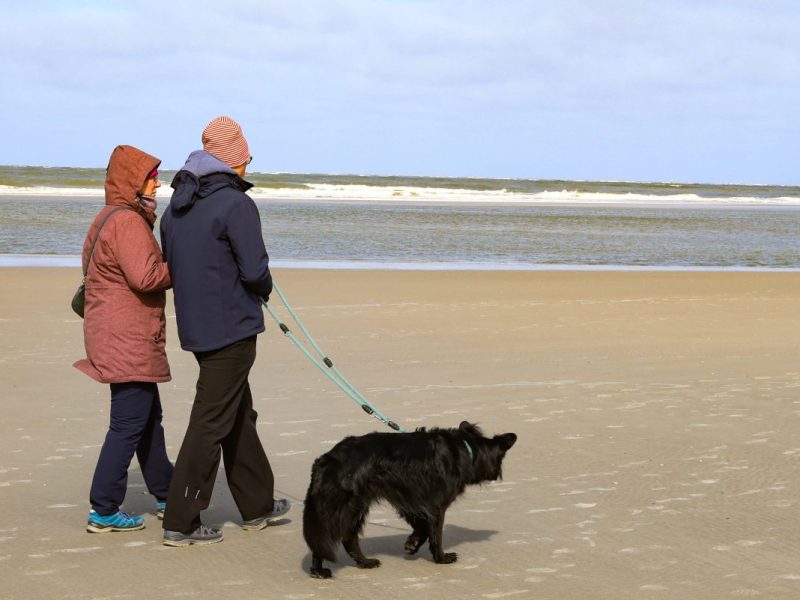 Spaziergänger mit ihrem Hund am Strand, Symbolbild