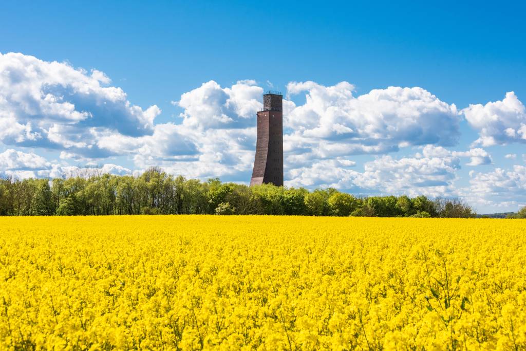 Denkmal hinter Rapsfeld