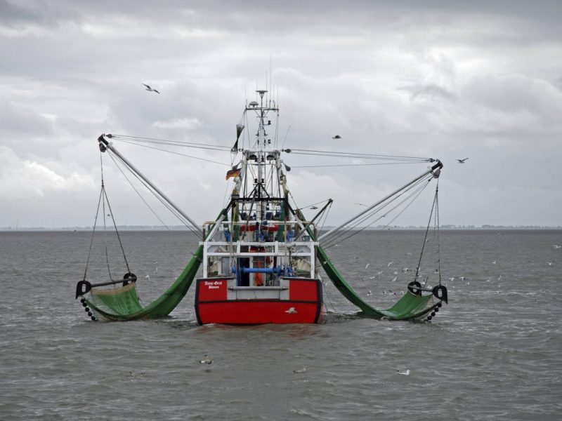 Ein Krabbenkutter in der Nordsee.