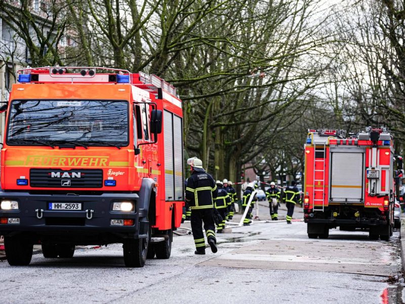 Brand in einem Zoo im Norden (Symbolbild)