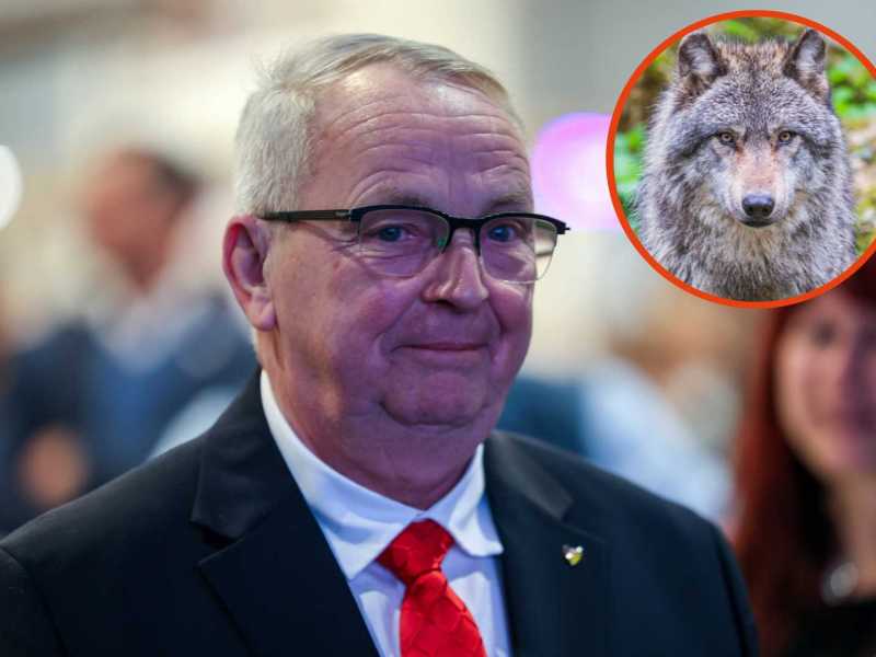 Politiker Till Backhaus (Collage).