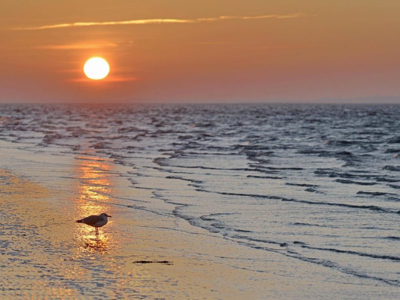 Die Insel Norderney.