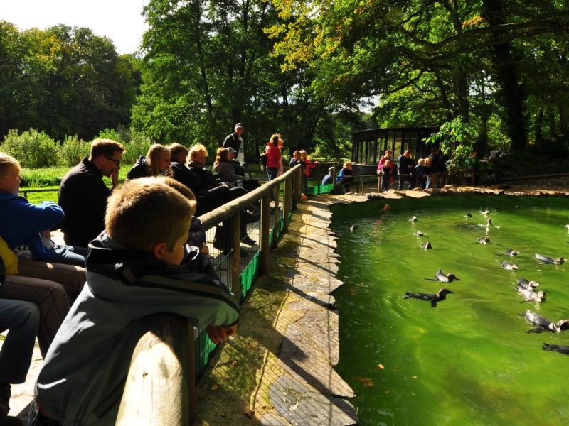 Große Änderung im Zoo Schwerin.